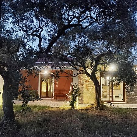 Elea Stone Houses In Organic Quiet Olive Grove, Prinos, Thassos Dış mekan fotoğraf