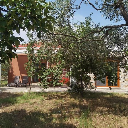 Elea Stone Houses In Organic Quiet Olive Grove, Prinos, Thassos Oda fotoğraf