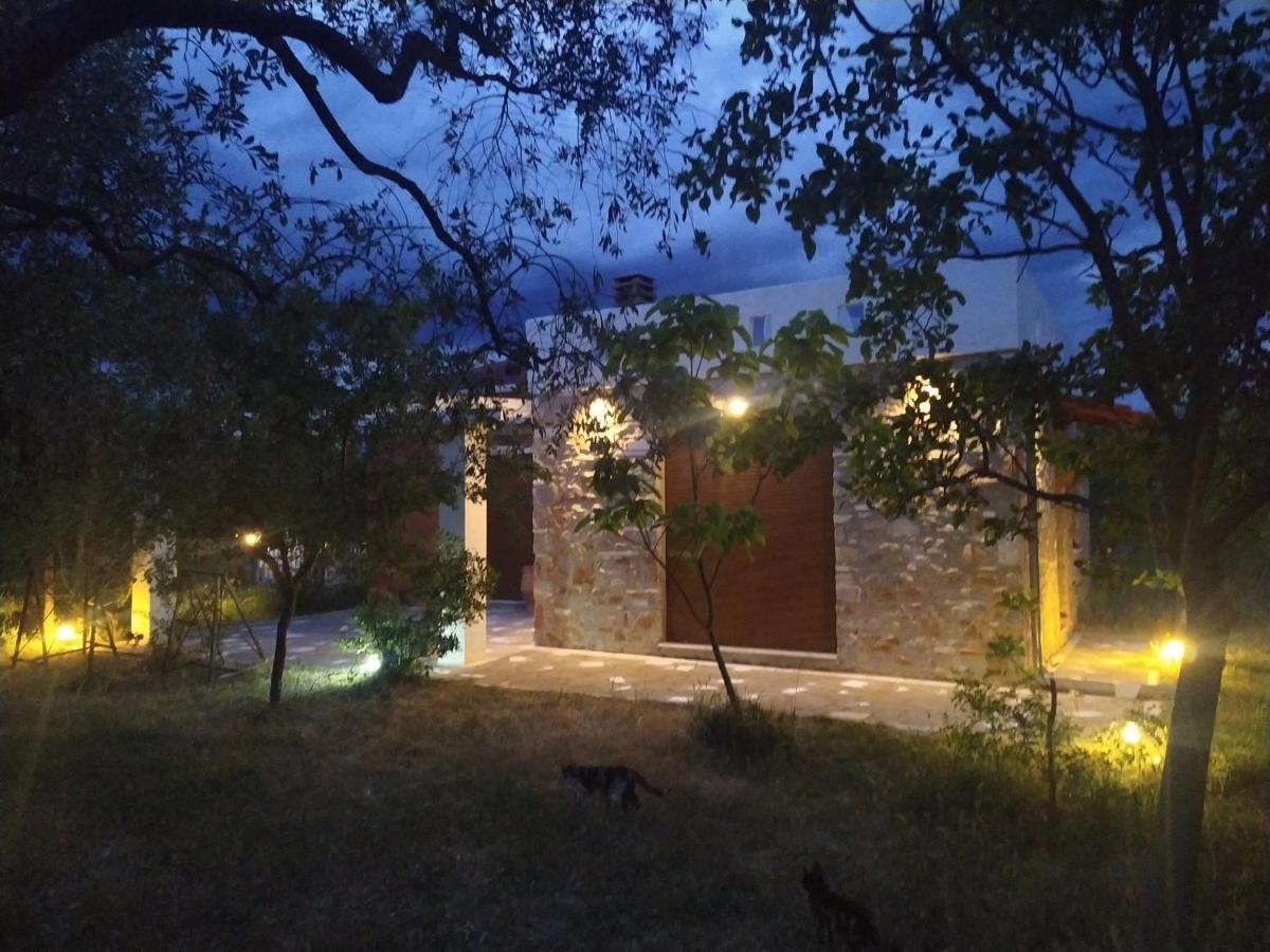 Elea Stone Houses In Organic Quiet Olive Grove, Prinos, Thassos Dış mekan fotoğraf