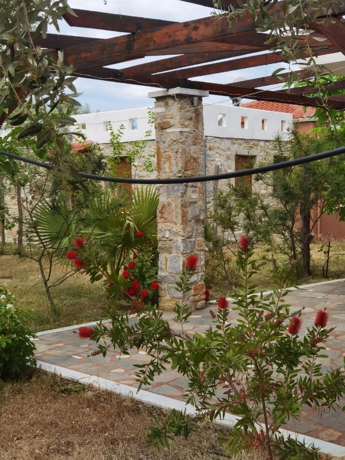 Elea Stone Houses In Organic Quiet Olive Grove, Prinos, Thassos Dış mekan fotoğraf