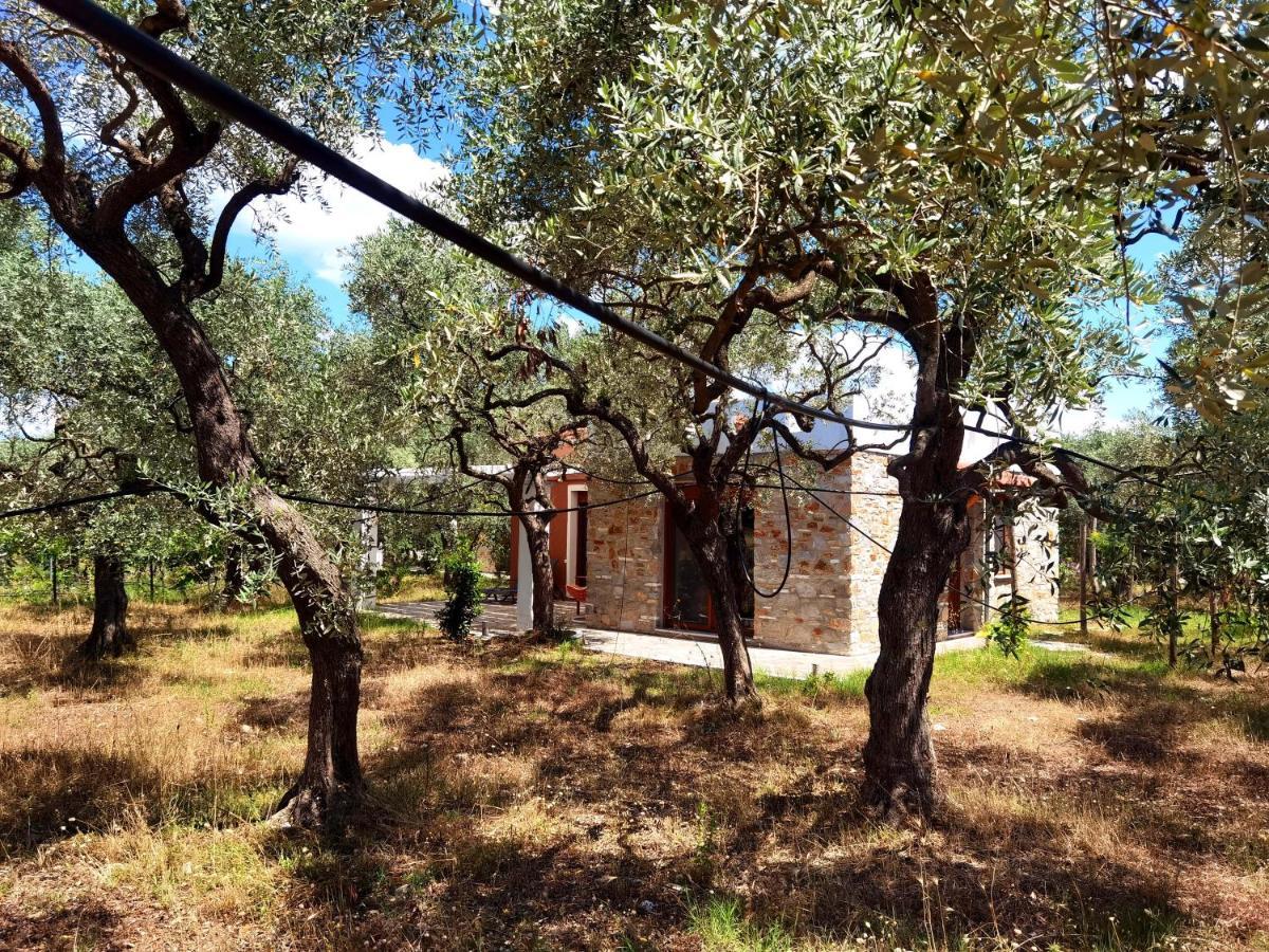 Elea Stone Houses In Organic Quiet Olive Grove, Prinos, Thassos Dış mekan fotoğraf