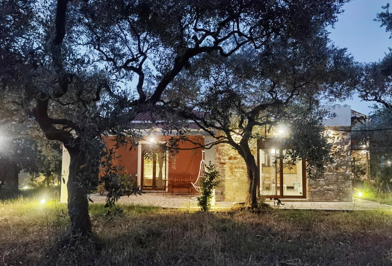 Elea Stone Houses In Organic Quiet Olive Grove, Prinos, Thassos Dış mekan fotoğraf