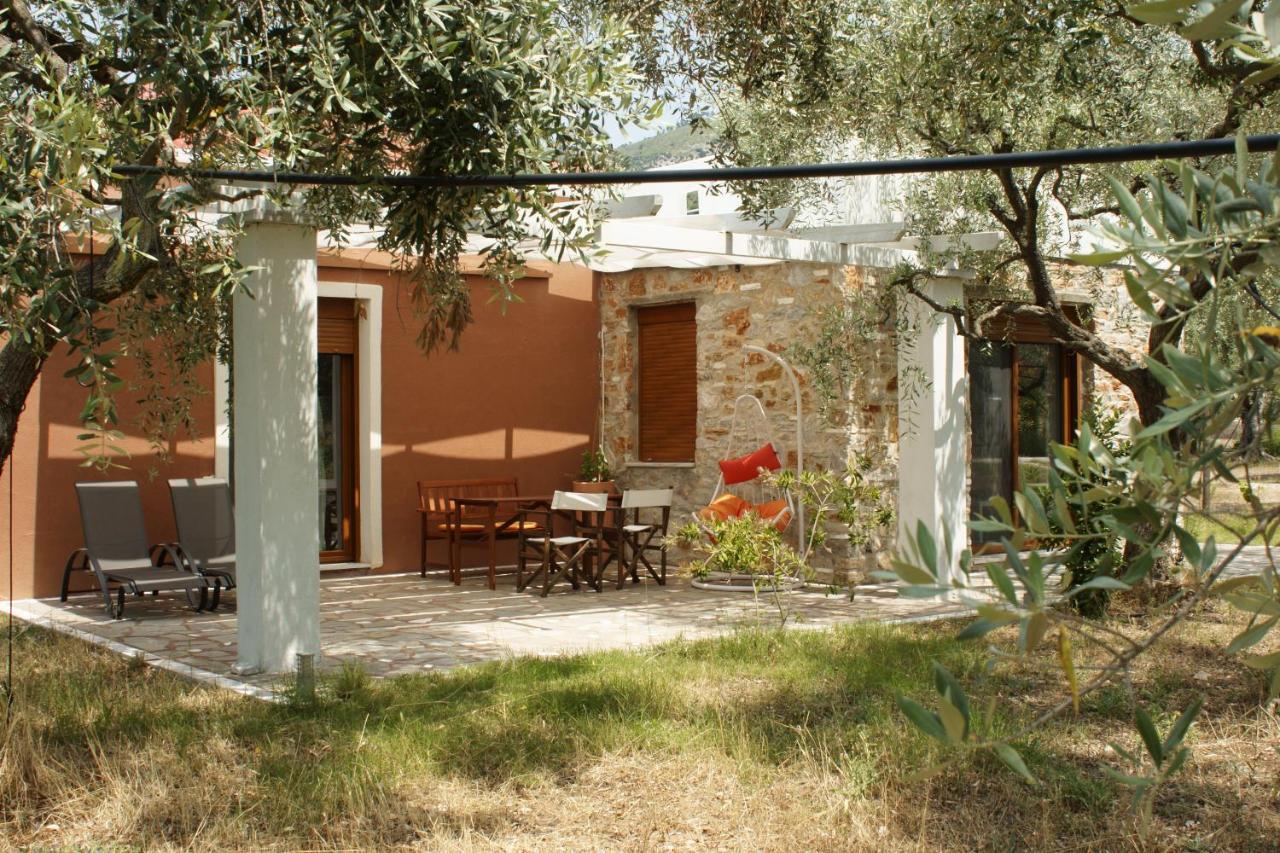 Elea Stone Houses In Organic Quiet Olive Grove, Prinos, Thassos Dış mekan fotoğraf