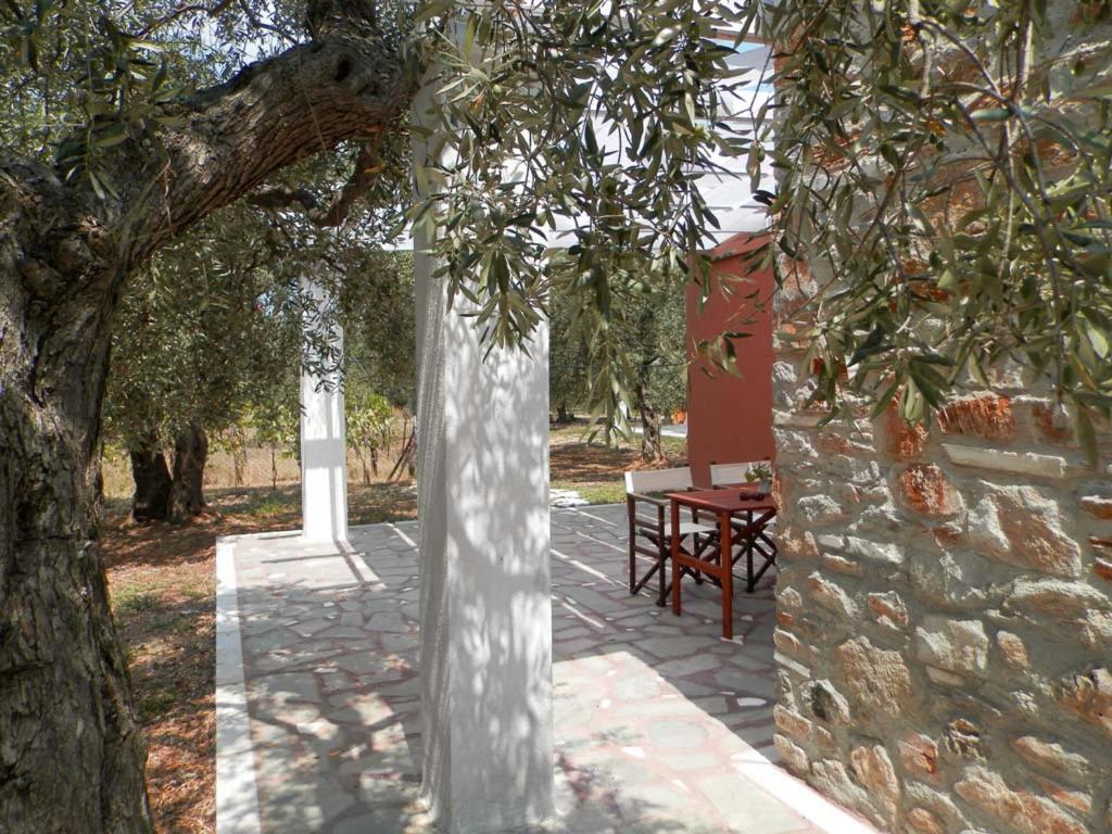 Elea Stone Houses In Organic Quiet Olive Grove, Prinos, Thassos Dış mekan fotoğraf