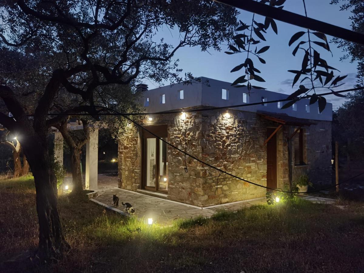 Elea Stone Houses In Organic Quiet Olive Grove, Prinos, Thassos Dış mekan fotoğraf
