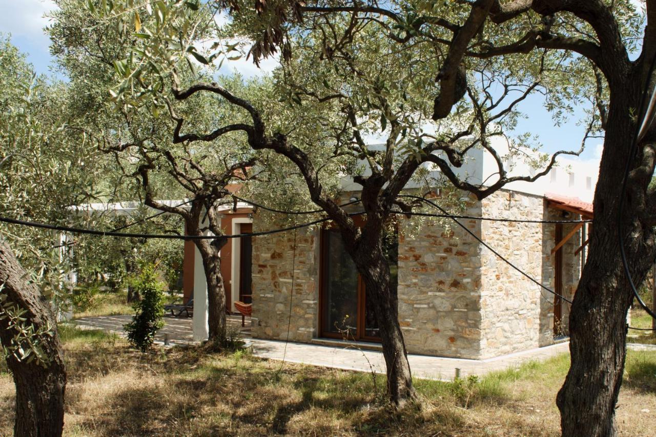 Elea Stone Houses In Organic Quiet Olive Grove, Prinos, Thassos Dış mekan fotoğraf