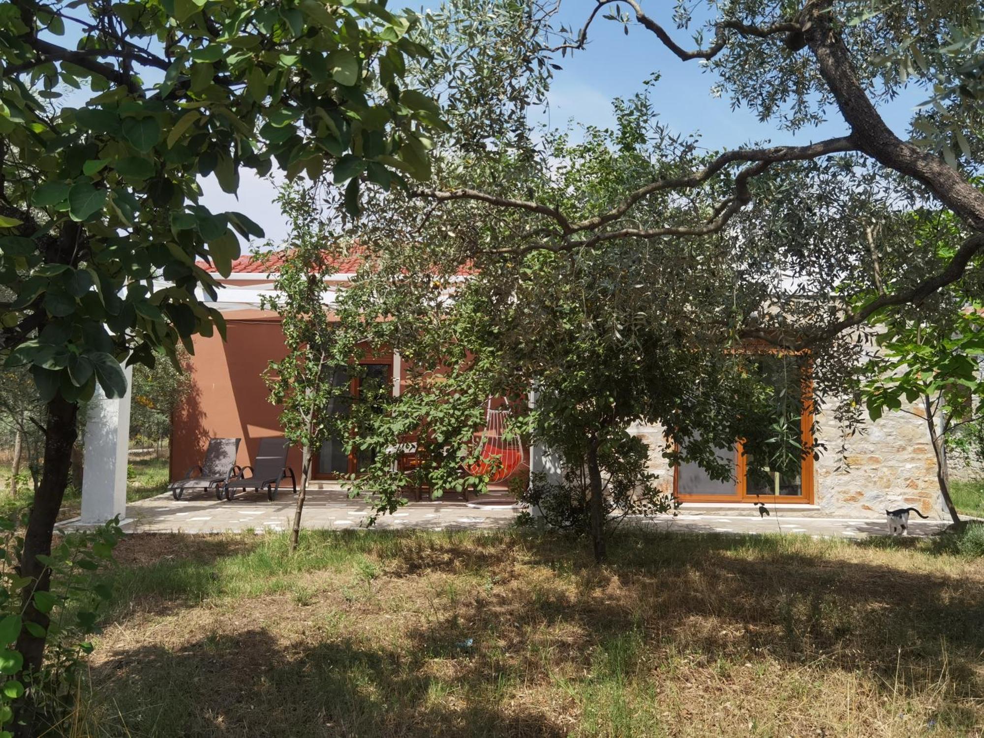 Elea Stone Houses In Organic Quiet Olive Grove, Prinos, Thassos Oda fotoğraf