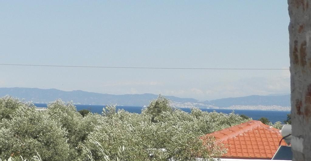 Elea Stone Houses In Organic Quiet Olive Grove, Prinos, Thassos Dış mekan fotoğraf