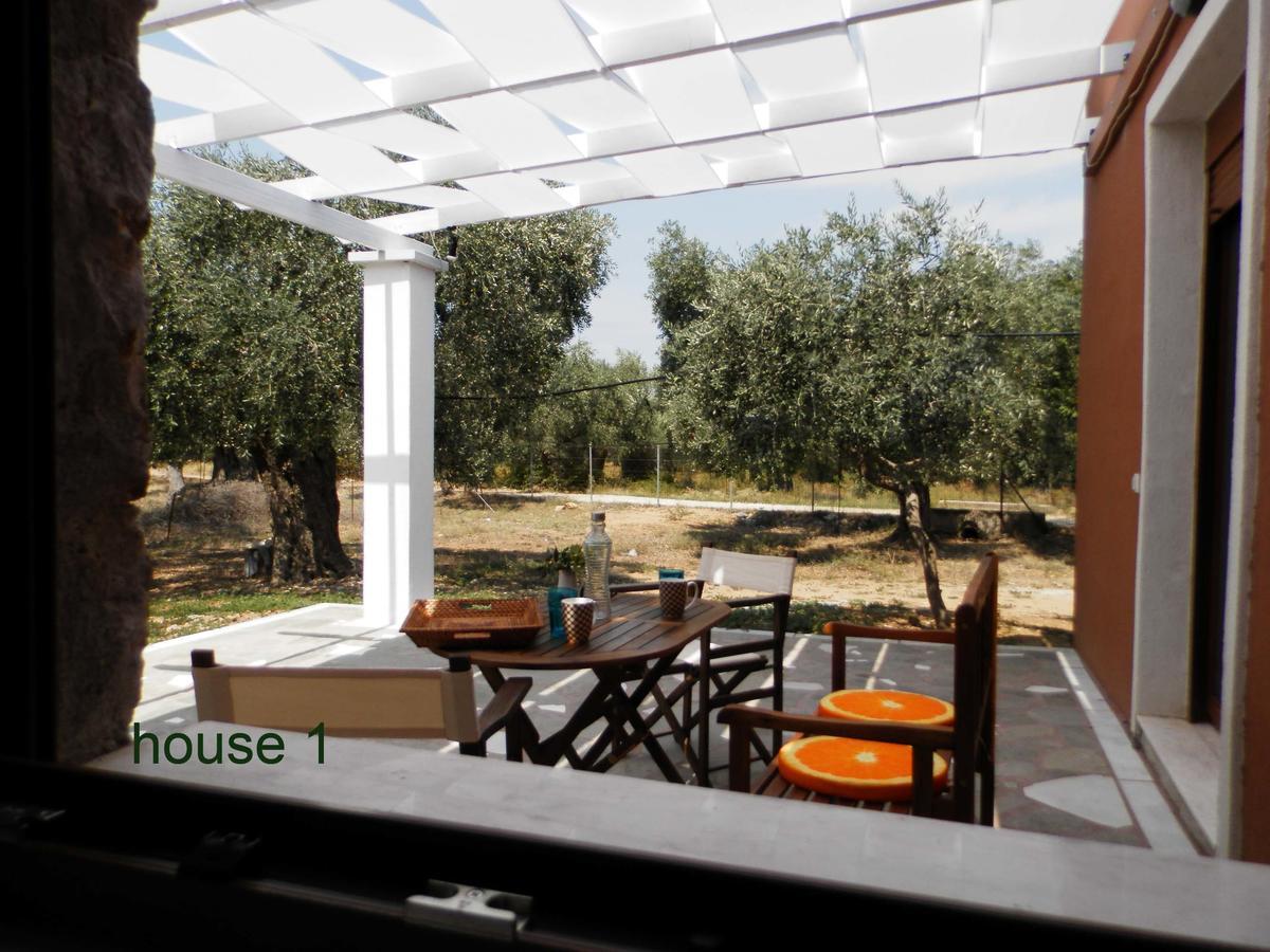 Elea Stone Houses In Organic Quiet Olive Grove, Prinos, Thassos Dış mekan fotoğraf
