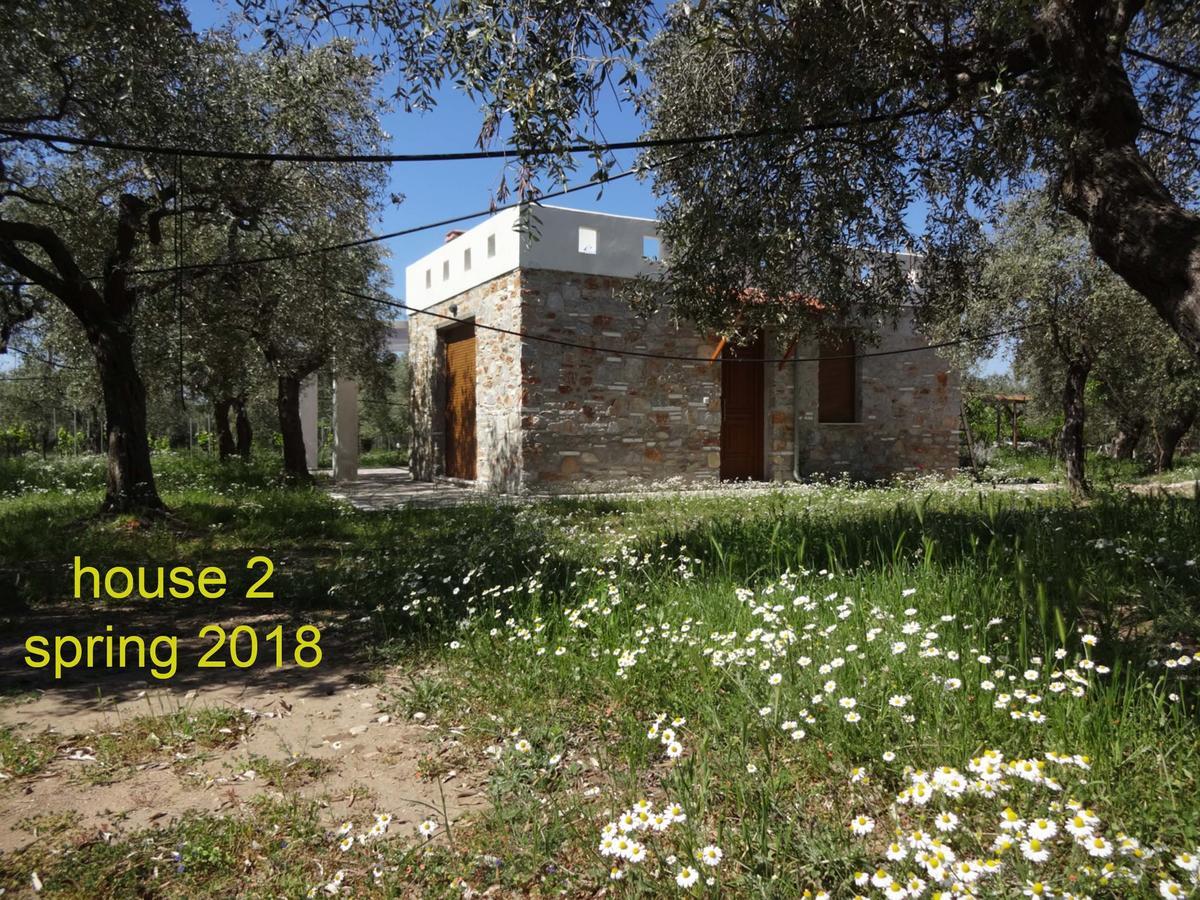Elea Stone Houses In Organic Quiet Olive Grove, Prinos, Thassos Dış mekan fotoğraf
