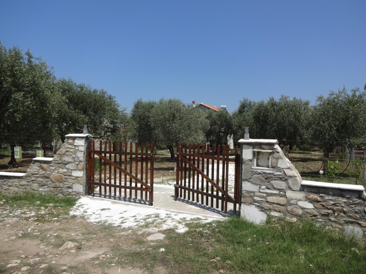 Elea Stone Houses In Organic Quiet Olive Grove, Prinos, Thassos Dış mekan fotoğraf